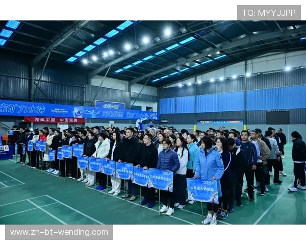 羽毛球视频比赛冬天